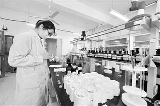 北湖科技園 長(zhǎng)春的“中關(guān)村”與科技中介服務(wù)新引擎